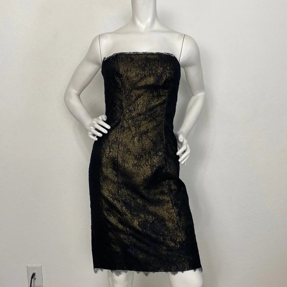 ML Monique Lhuillier Black Shimmer Lace Whimsigoth Witchy Strapless Dress Size 4